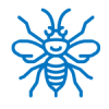 abeja abeja
